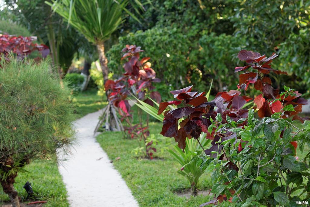 Analatsara Eco Lodge Ile aux Nattes Exteriör bild